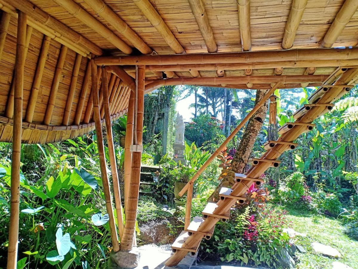 Jero Tumbuk Private Villa Selat Екстериор снимка