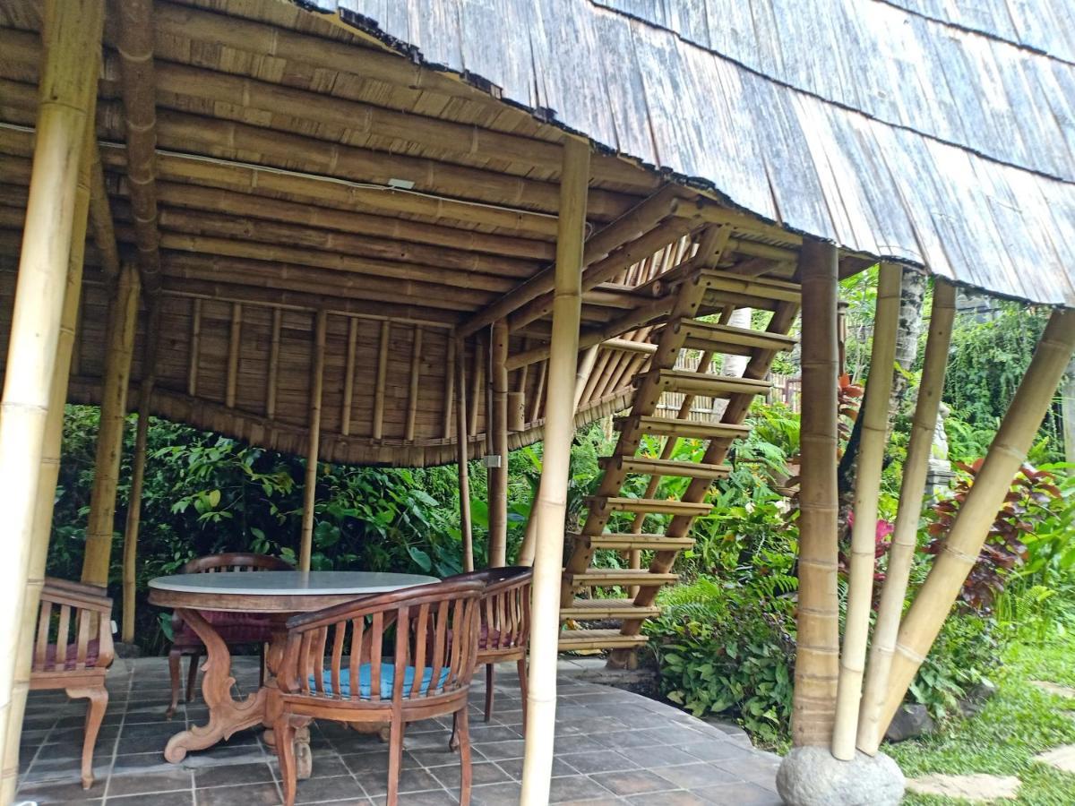 Jero Tumbuk Private Villa Selat Екстериор снимка
