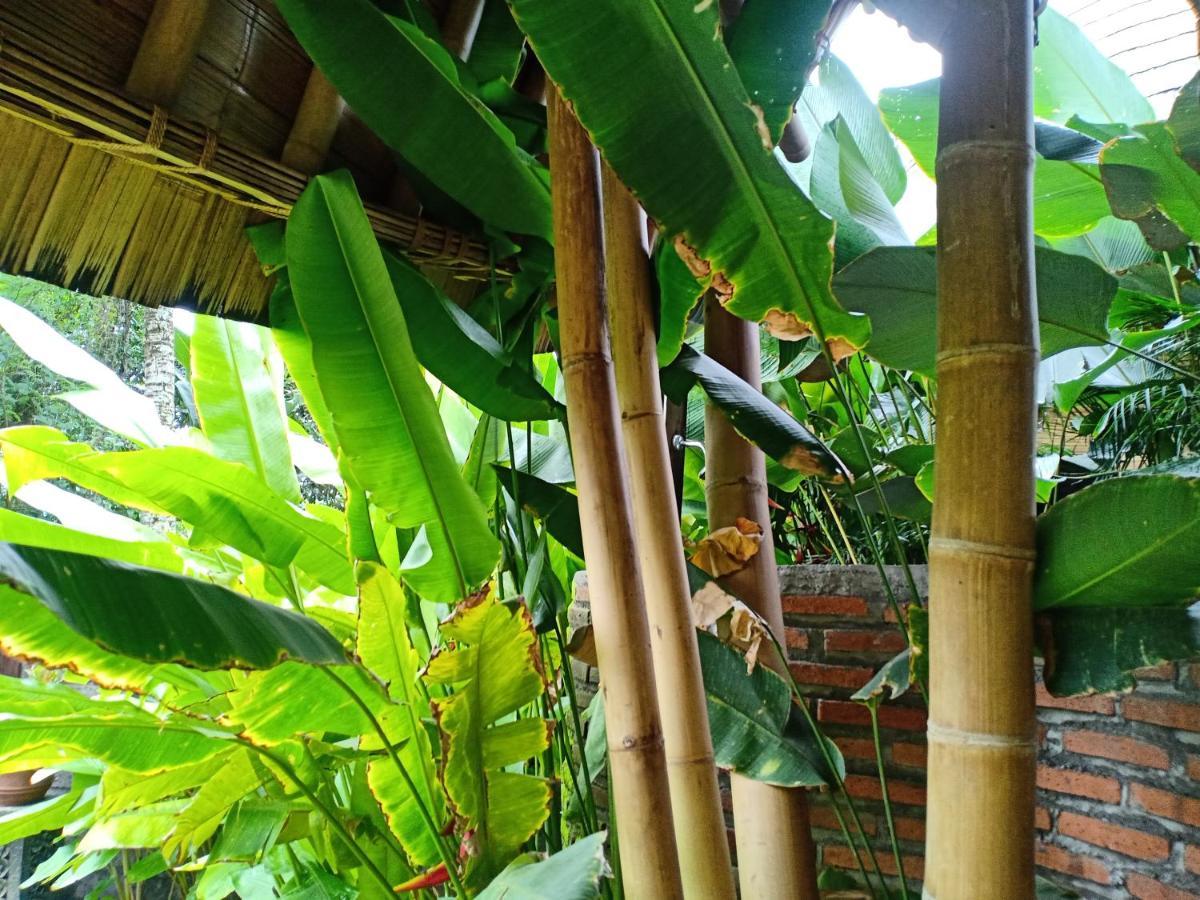 Jero Tumbuk Private Villa Selat Екстериор снимка