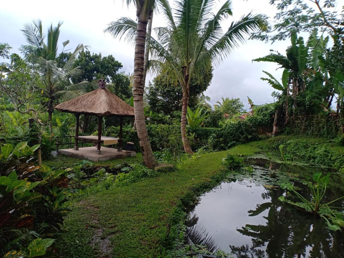 Jero Tumbuk Private Villa Selat Екстериор снимка