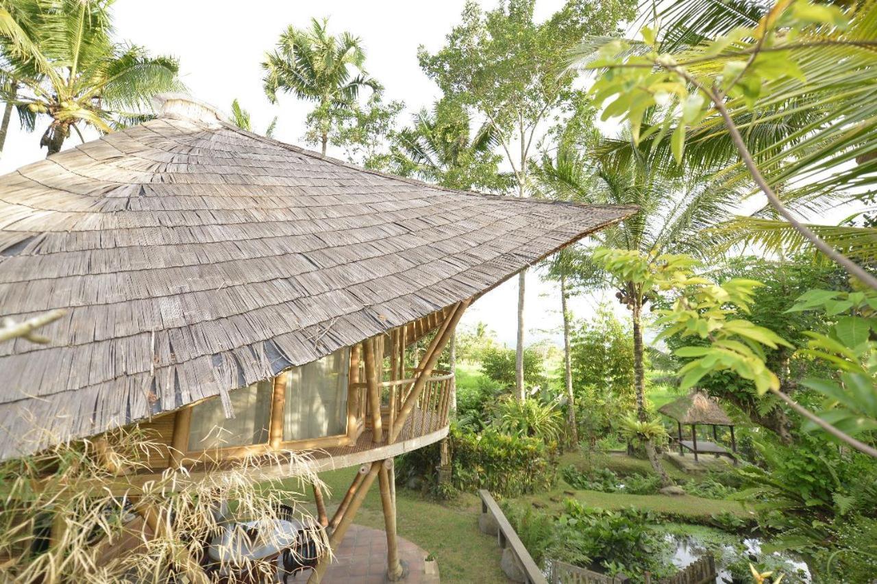 Jero Tumbuk Private Villa Selat Екстериор снимка
