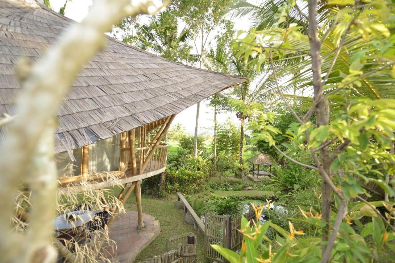 Jero Tumbuk Private Villa Selat Екстериор снимка
